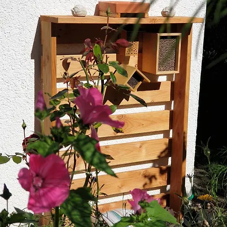 Appartement Irene Bad Saulgau